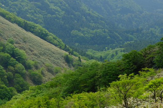e0304001_19462542.jpg