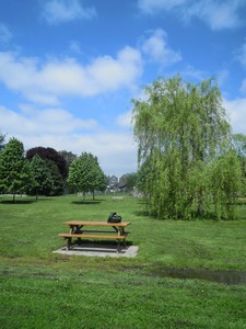 e0206902_333854.jpg