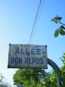 e0206902_3383966.jpg