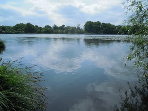 e0206902_338573.jpg
