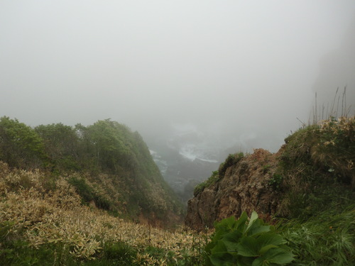 e0242504_1645165.jpg