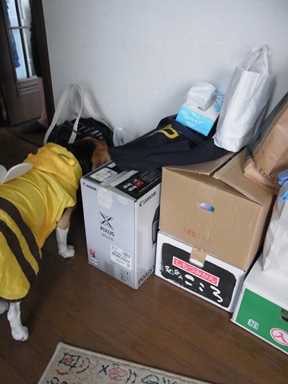c0205806_2242031.jpg