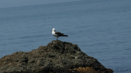f0041606_17264063.jpg