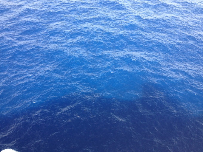 a0161409_1485481.jpg