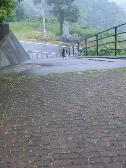 b0239909_22252373.jpg