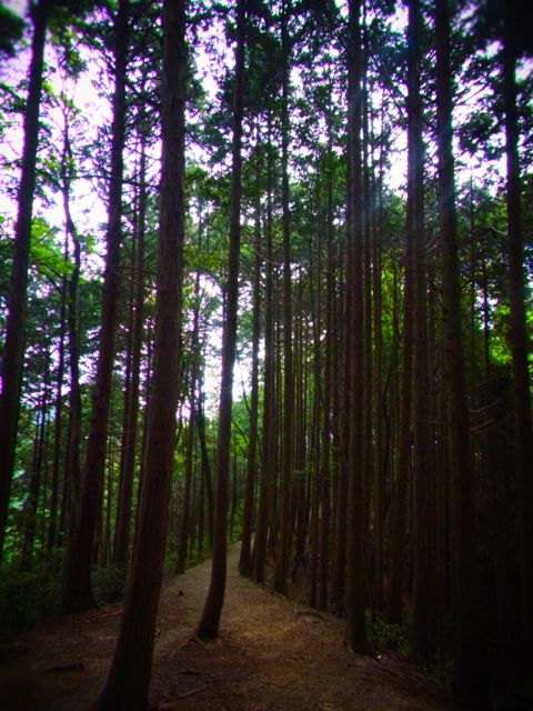 b0183911_11493947.jpg