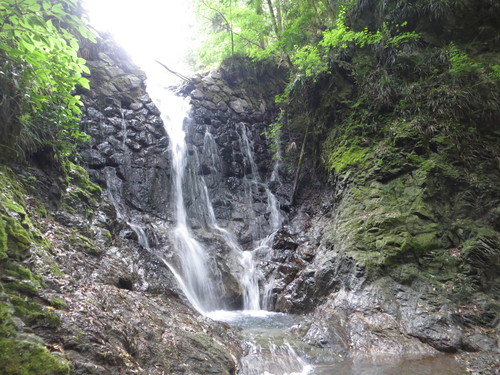 b0121015_1911412.jpg