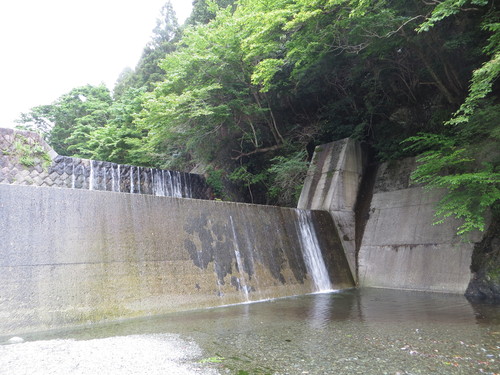 b0121015_19122295.jpg