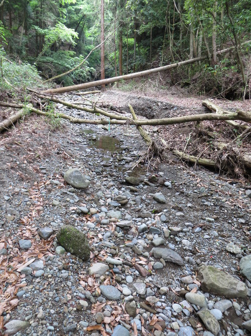 b0121015_1932976.jpg