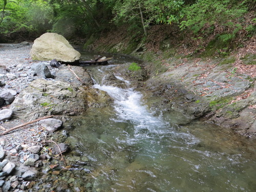 b0121015_195471.jpg