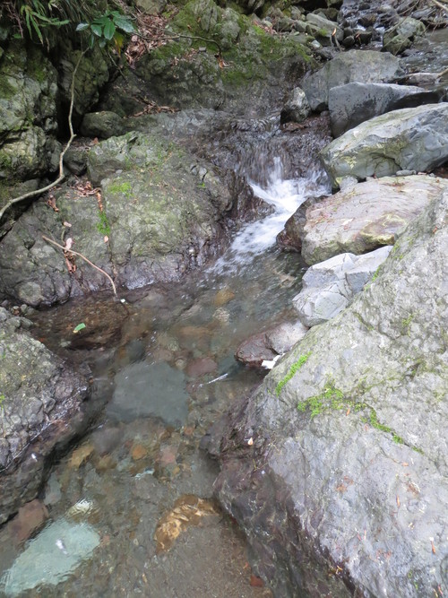 b0121015_1973968.jpg