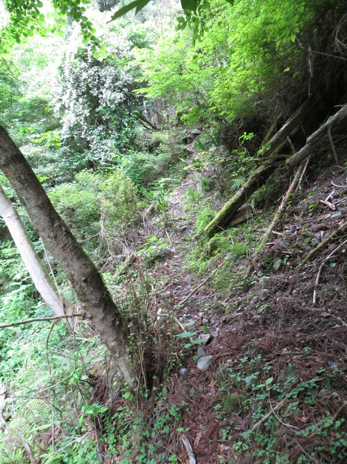 b0121015_1985691.jpg