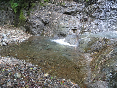 b0121015_1994235.jpg