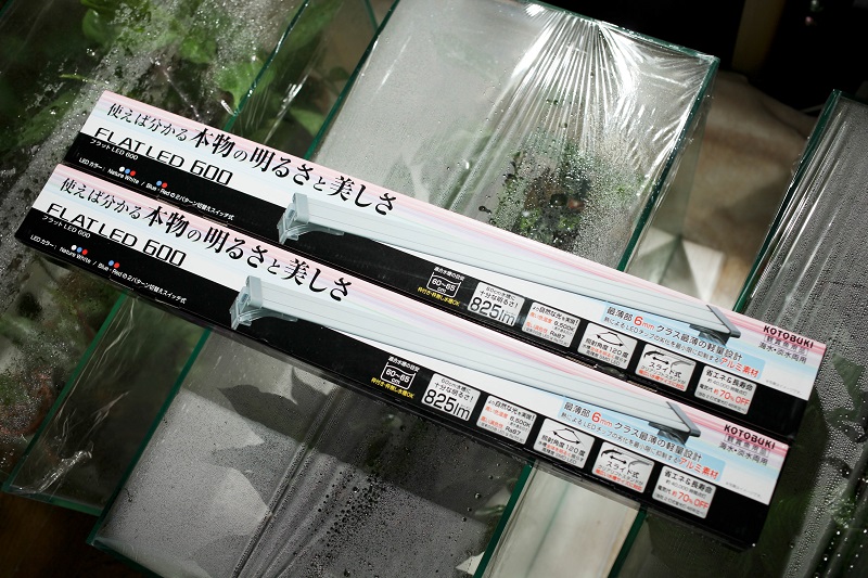 a0141717_23214399.jpg