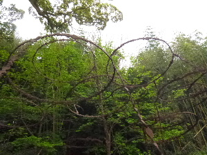 a0157619_22594133.jpg