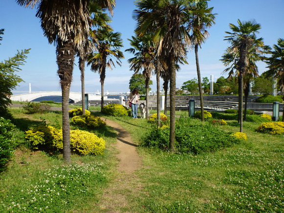 a0226620_2320519.jpg