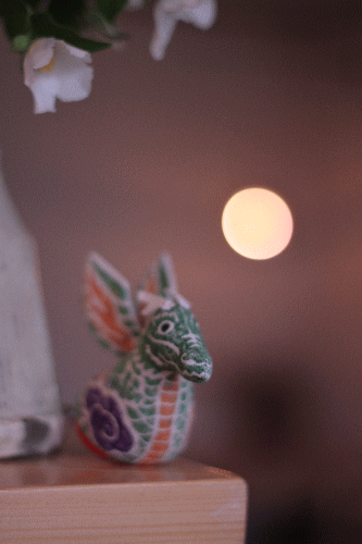 a0251920_15274279.gif