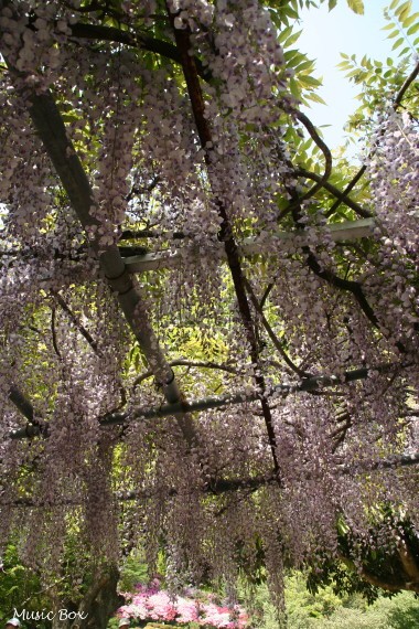 c0071221_230446.jpg