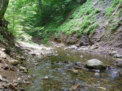 d0227723_2238059.jpg