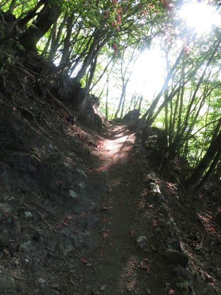 f0040525_20283269.jpg
