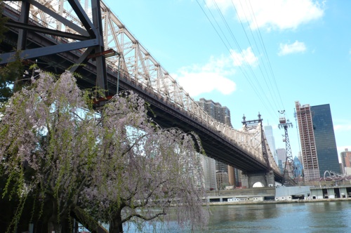 f0200433_20364789.jpg