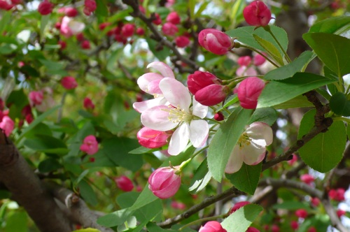 f0200433_20402843.jpg
