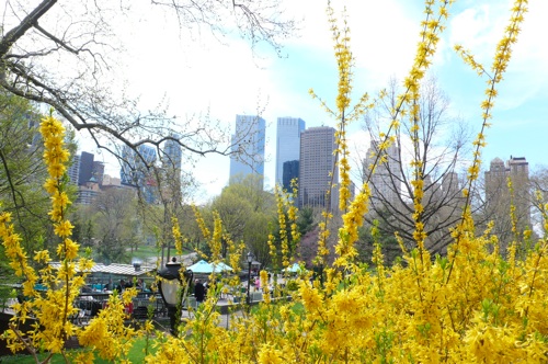 f0200433_20403549.jpg