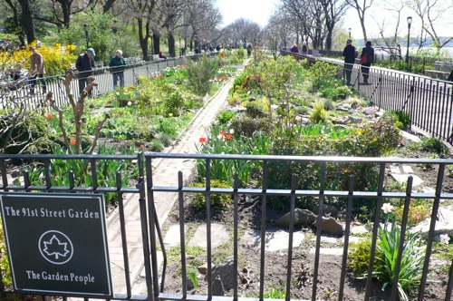 f0200433_20403867.jpg