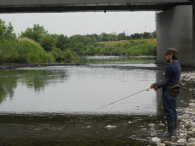b0174137_0165781.jpg