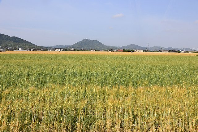 a0242438_7413141.jpg