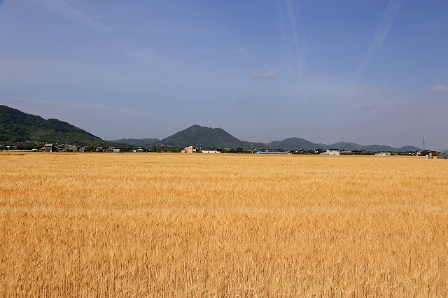 a0242438_7413659.jpg