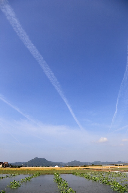 a0242438_7421519.jpg