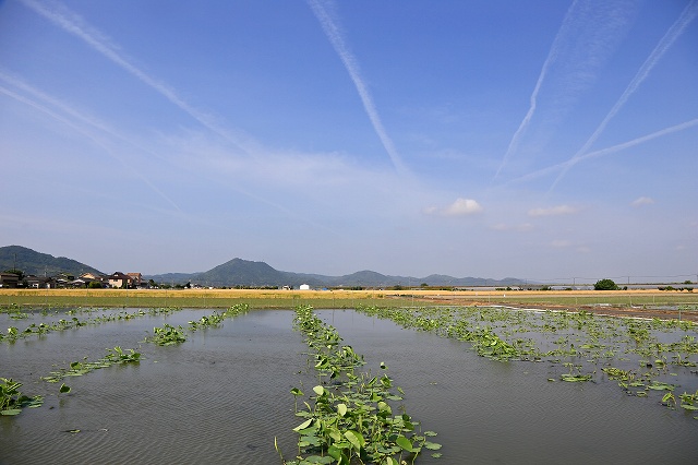 a0242438_742175.jpg