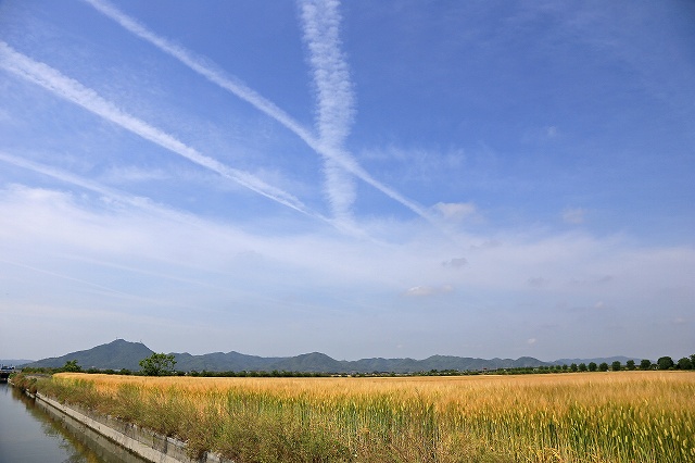 a0242438_7433640.jpg