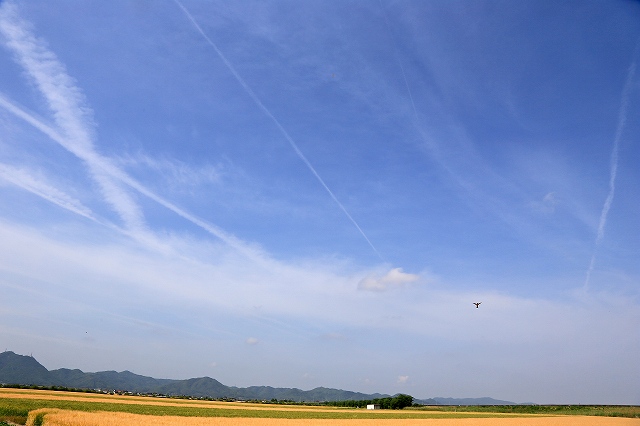 a0242438_743487.jpg