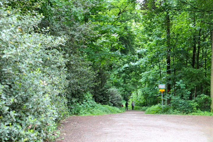 c0153740_15151985.jpg
