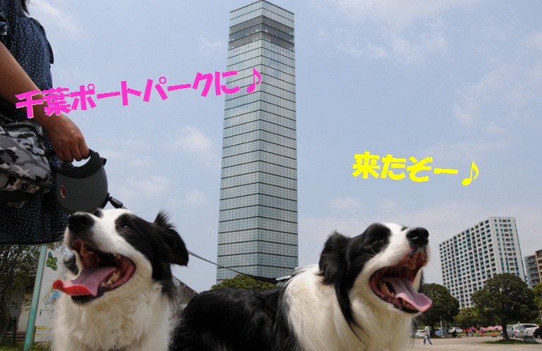 c0147241_1834487.jpg