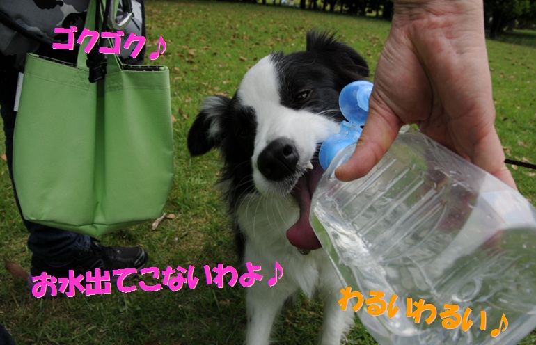 c0147241_18351159.jpg