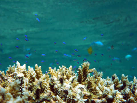 f0014842_1713017.jpg