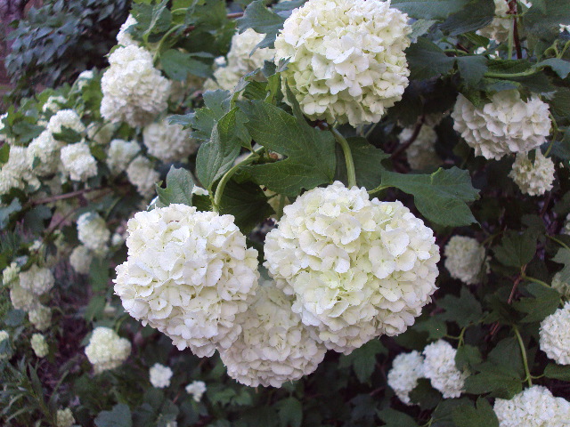 a0204348_7541877.jpg