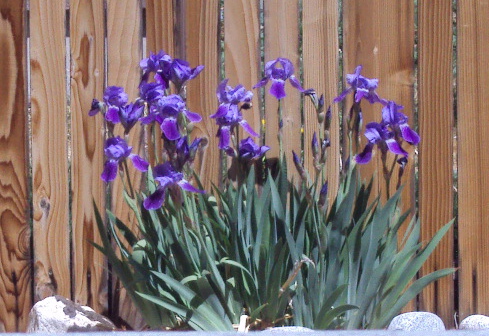 a0204348_7555388.jpg