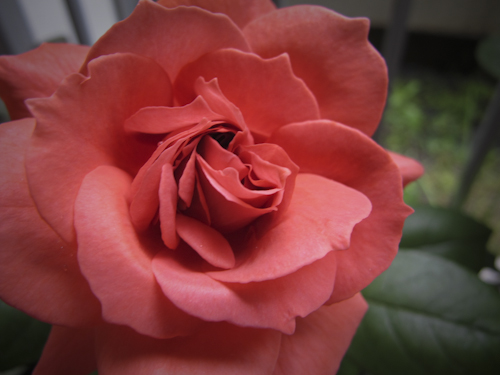 b0158551_21444414.jpg
