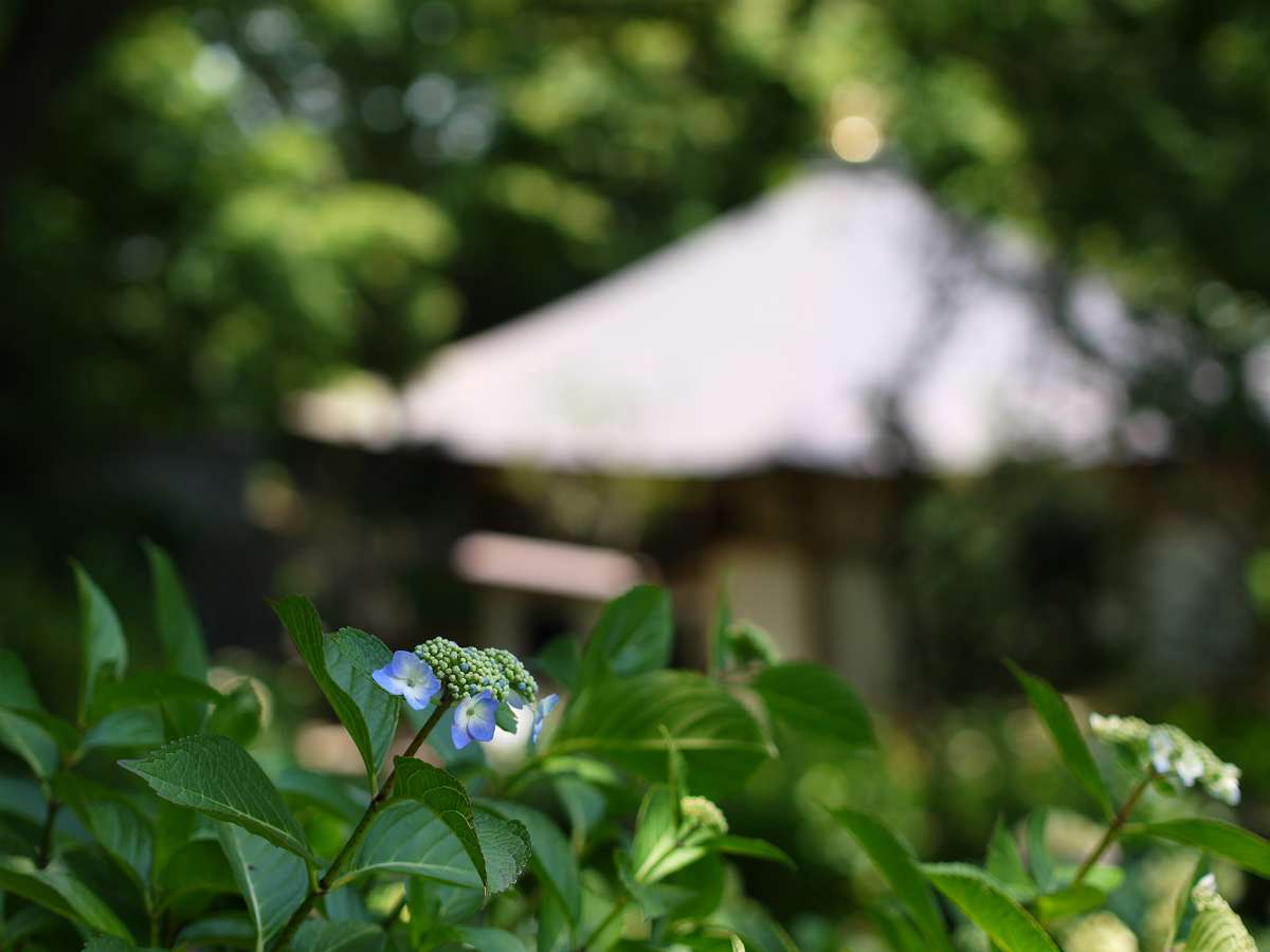 a0063552_7523076.jpg
