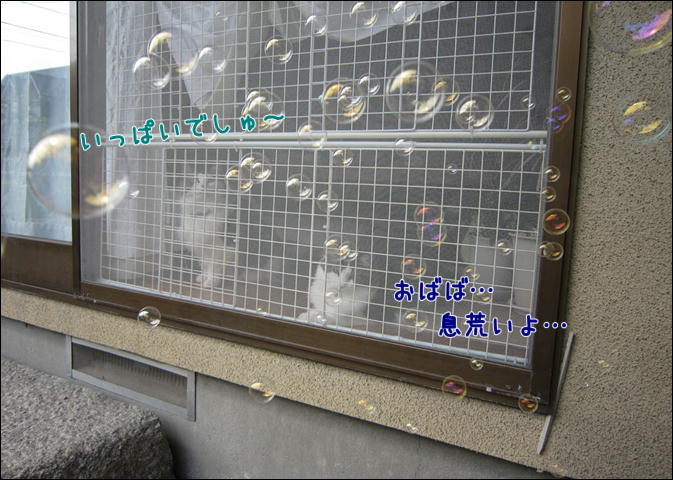 d0139352_14303813.jpg