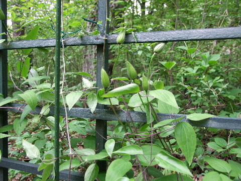 e0088260_2127548.jpg