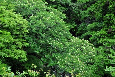 c0303868_5363887.jpg