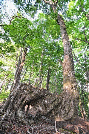 c0303868_5424924.jpg