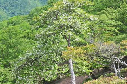 c0303868_5472096.jpg