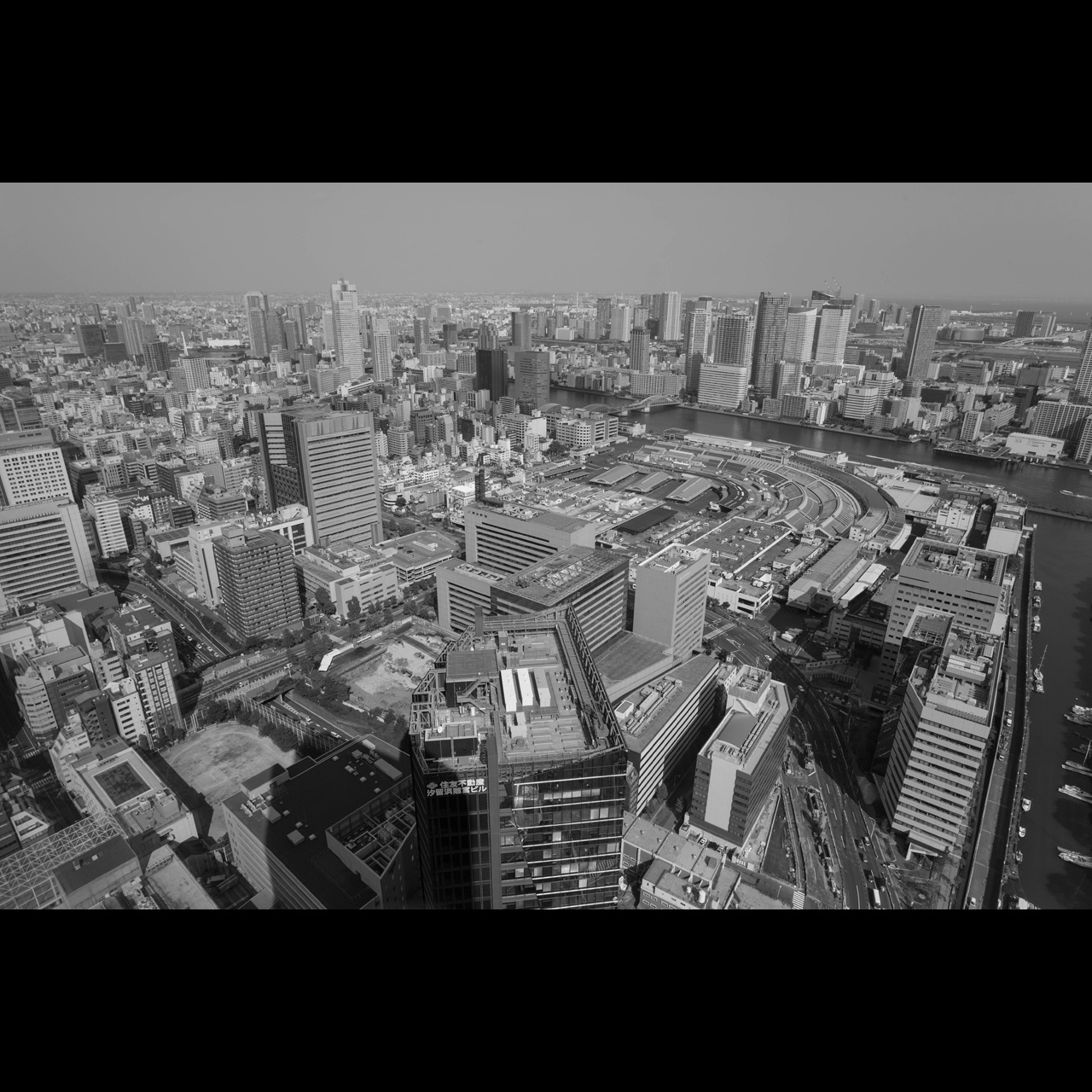 c0118173_223867.jpg