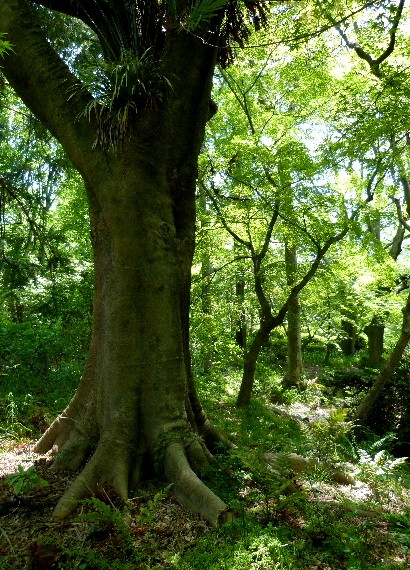 d0084473_19441577.jpg